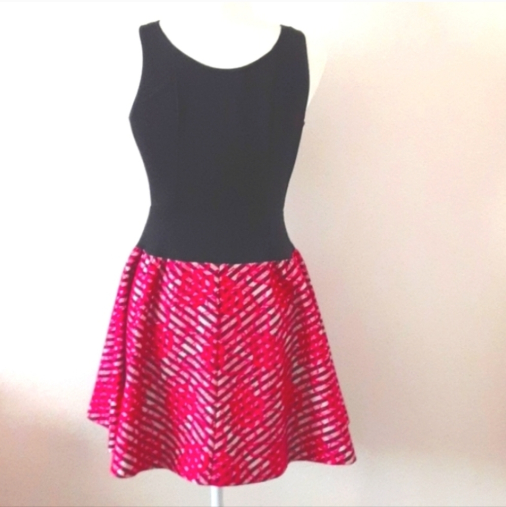 Amanda Uprichard Nadia Lace Skater Dress Pink Striped Gold Zip Fit & Flare M - Picture 5 of 7